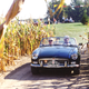 Illustration for article titled Sports Cars Race Through Corn (Maize) Maze